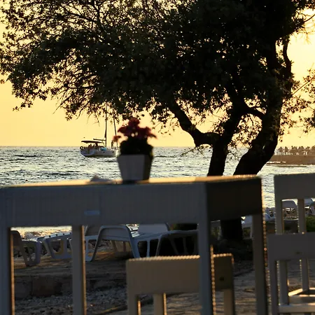 Sunnyside بيتريتْشاني